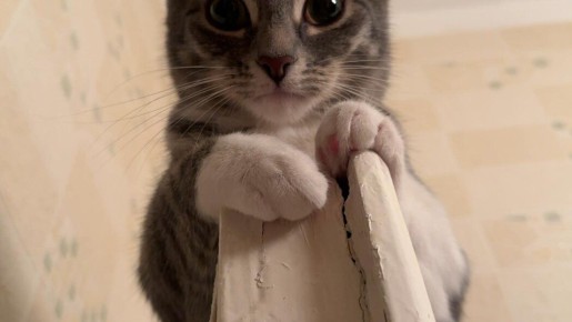 Искусство счастья: как женщинам стать по-настоящему счастливыми