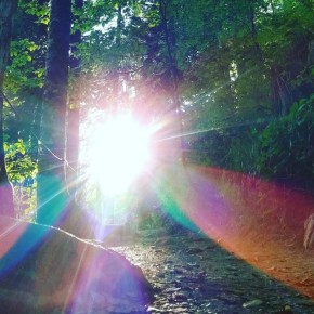 ����� ���������� �����������