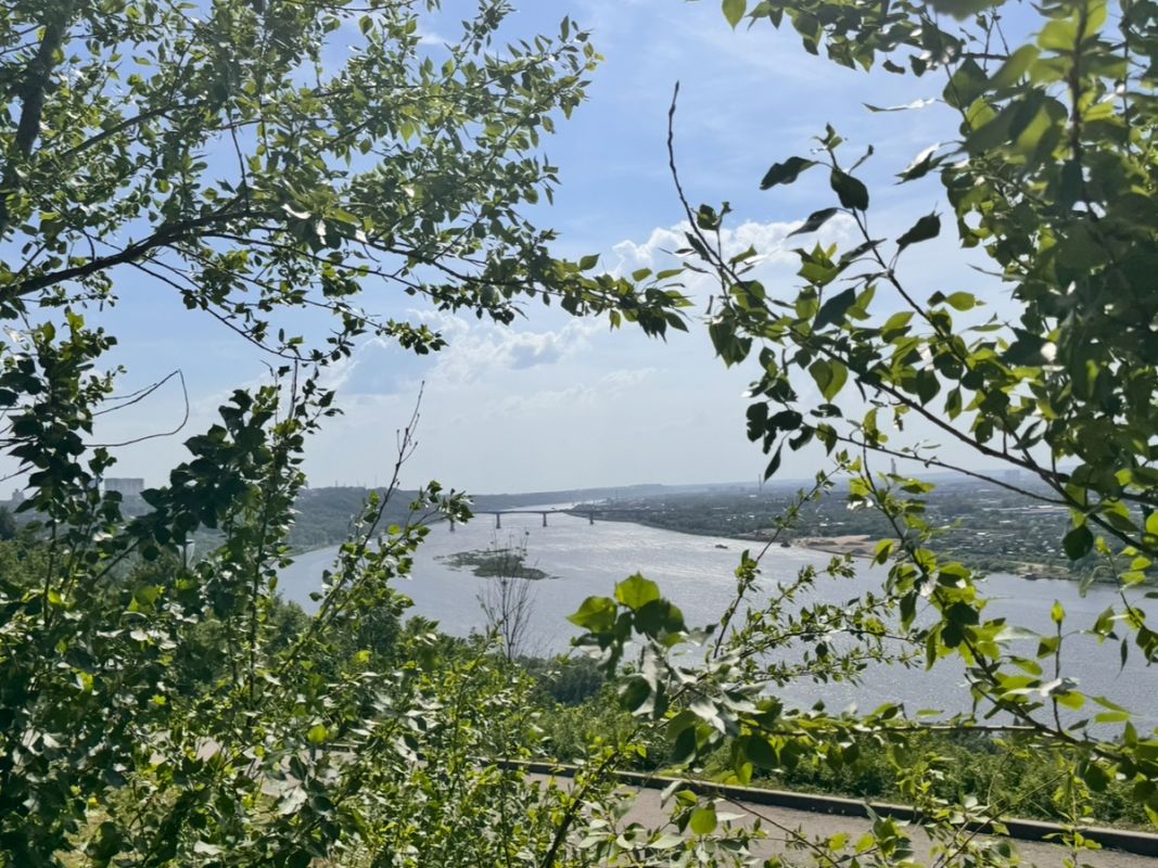 ����� ������� �����������: ��� ����� ������ �������� ��������� ������� � ���������� �������������