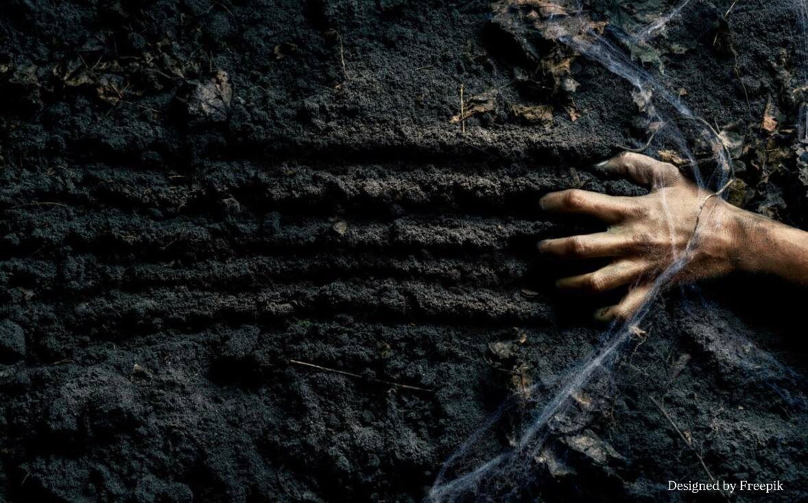 ������ ����� ����: ������ �������� ���������� �������