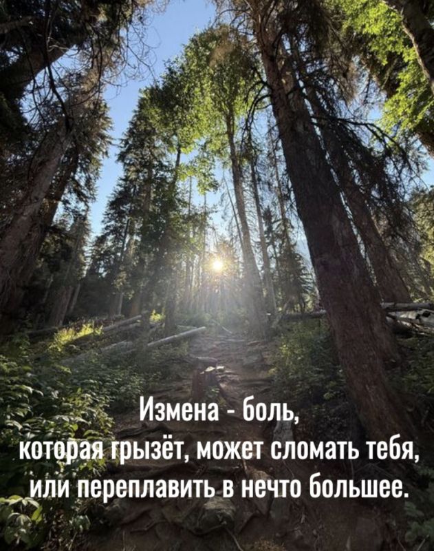 ������ � �����: ��������� �������� ���� ��� ���������� � ��������?