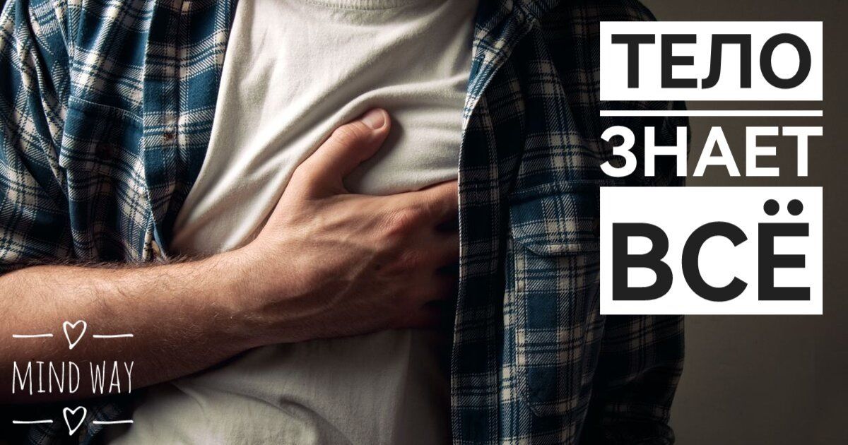 ���� ����� ��