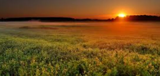 ��������� �������� �� ����