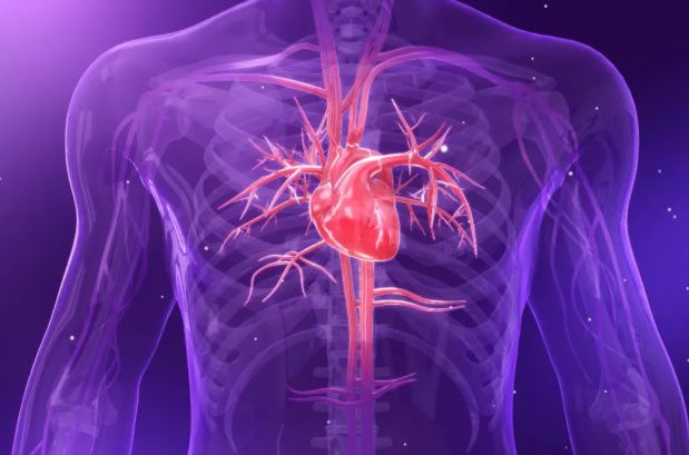 ������-���������� ��������: ��� ���������� � ������