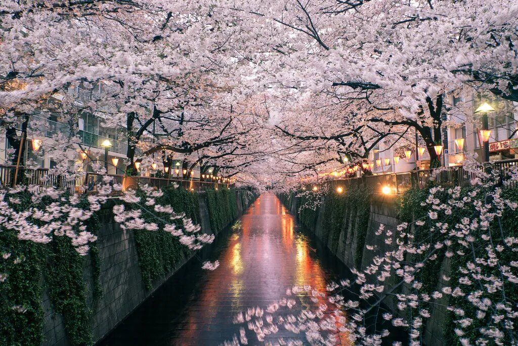 ������: ��� ������� ������� �������� ������������ ������ ������ ����