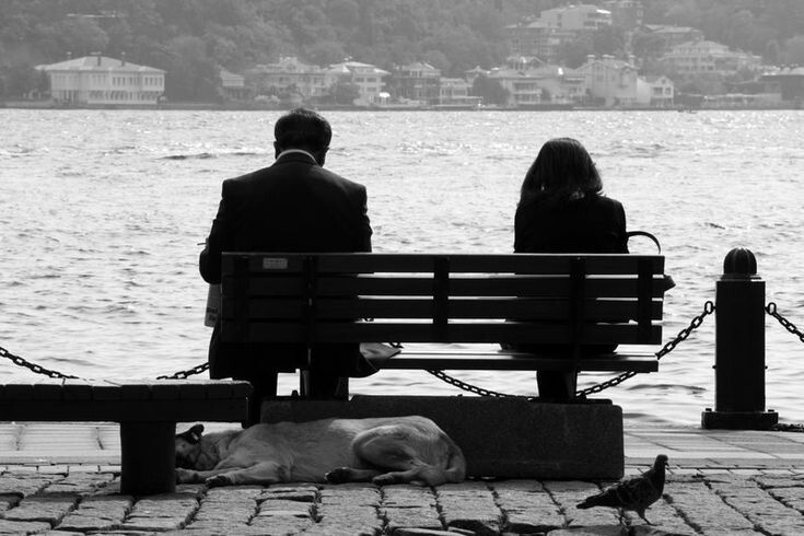 ��� �������� ������������� � ����������: �� �������� � ����������