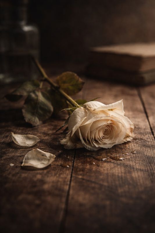 � ��� ������ �������: ������� ���������� ���������