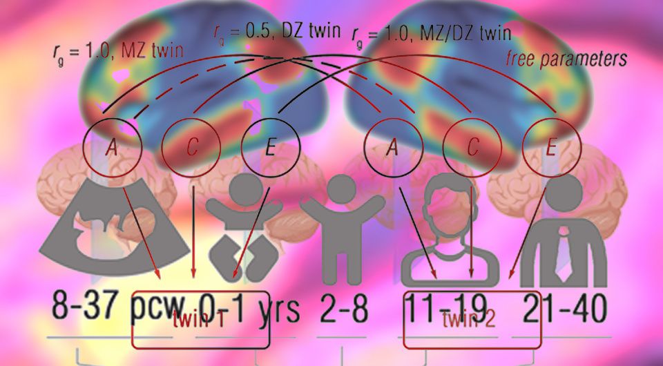 ��������������: ������������ ������������������� � ������������������ �����