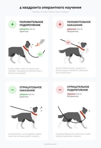 ������������ � ���������: ������� ������ ������������� ���������