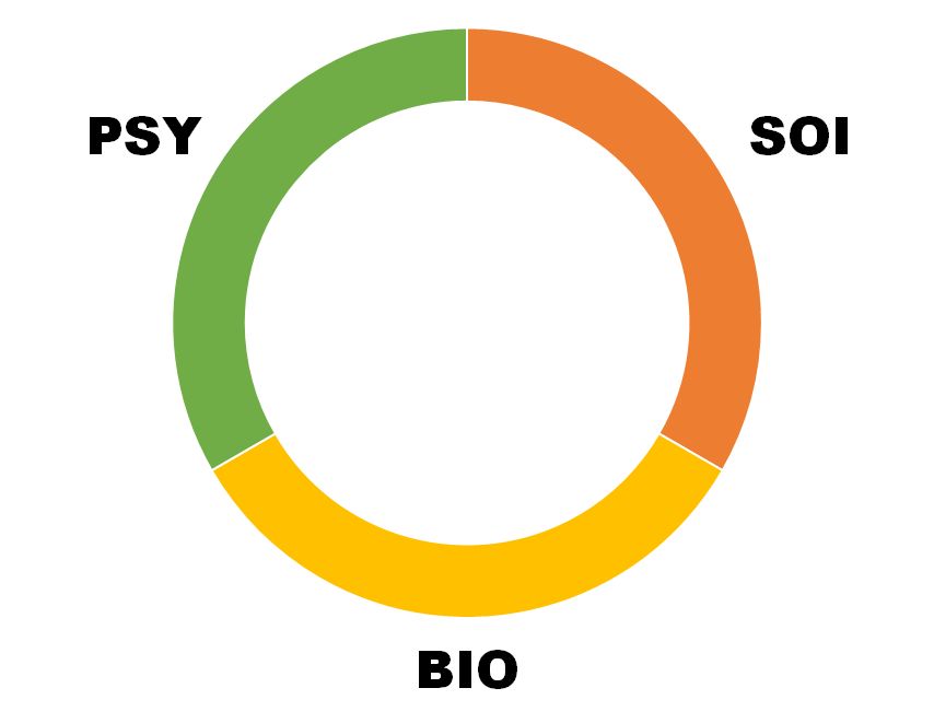 ��� ���-�����-���������� ������ ��������� ���� �������������