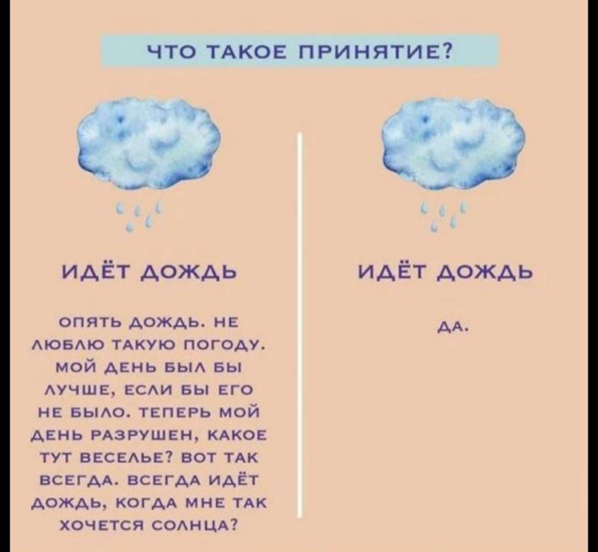 ���� � �������� ����������