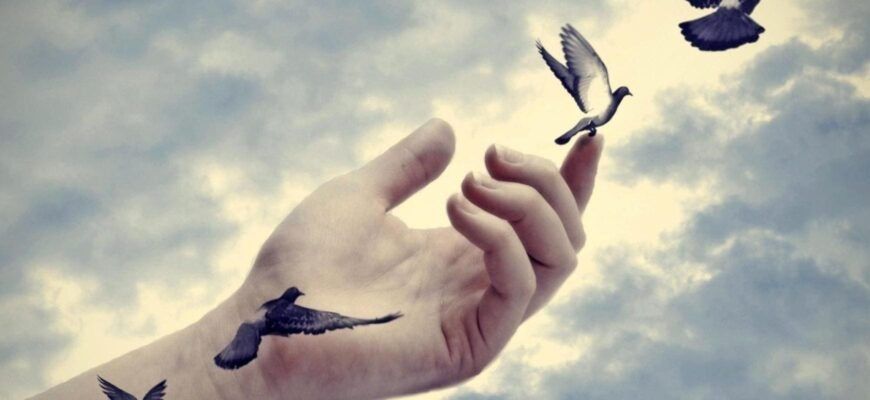 ��� ��������� ��������� ����� � ��������: ������ ����������