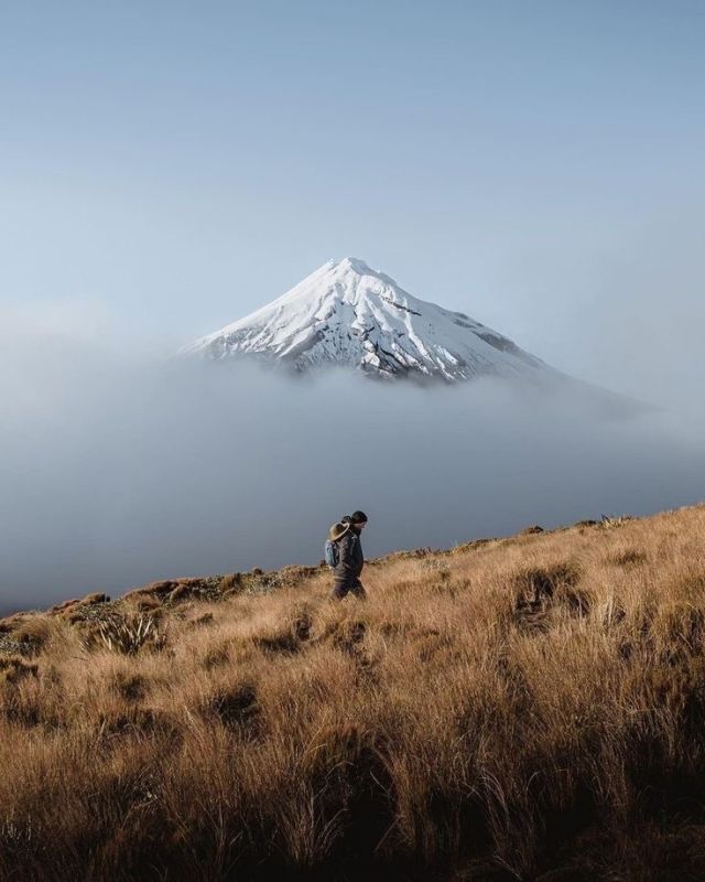 �����������: ����� �������� � ����� �����