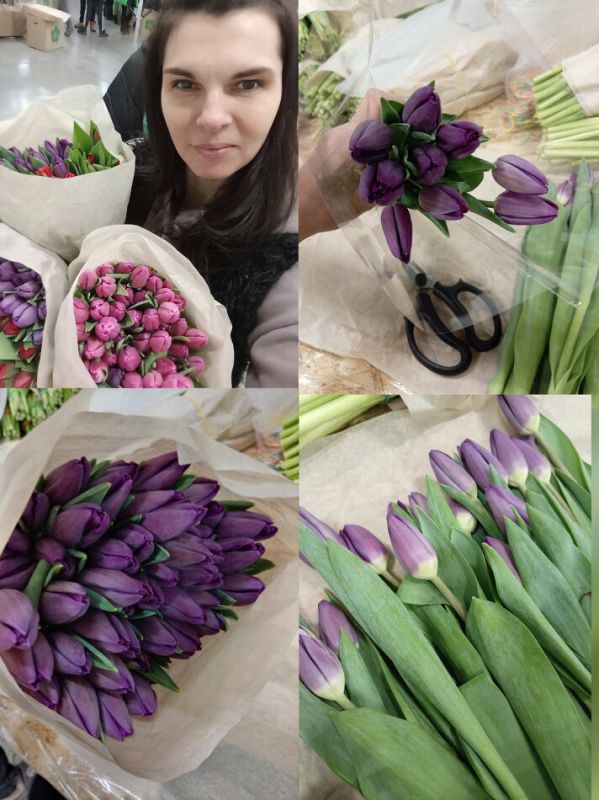 ����� ����� ���������� ��������: ��������� ���� ���������