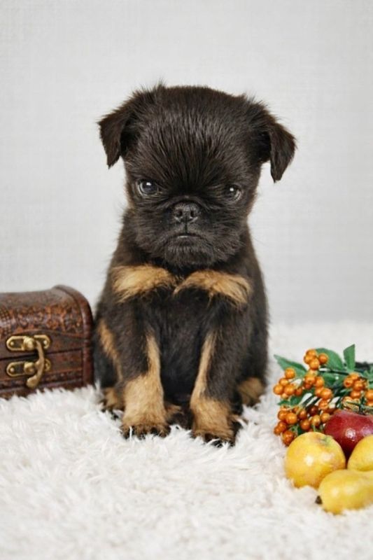 ��������� ���� � ������� ����� � ������