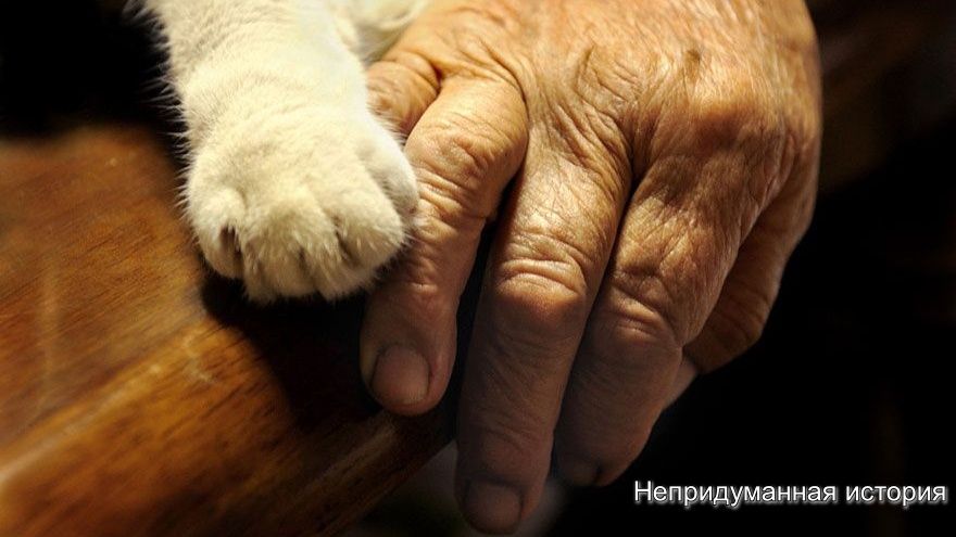 ����� ������ ���������� ����� �����