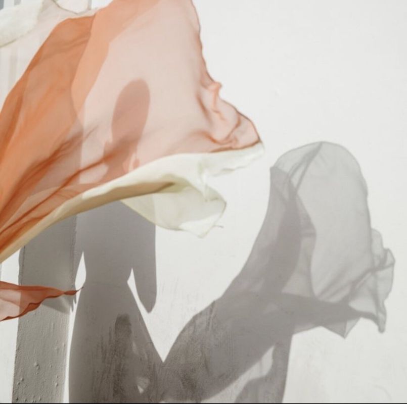 ������� ���� �����������: �������� ���� � ���������� �������