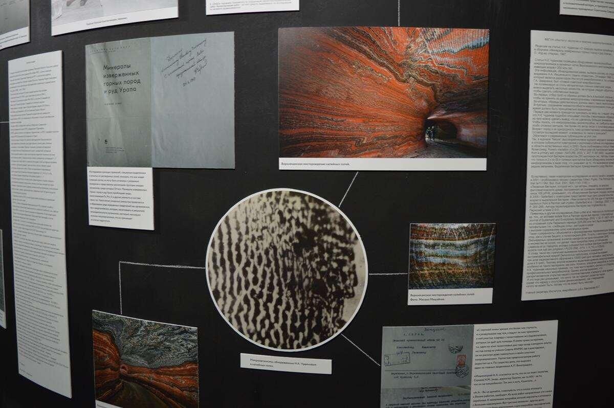 ������� ������� � ����� ������� ����� �� �����