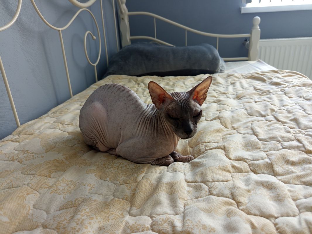 ��������� ���� � �������� �������