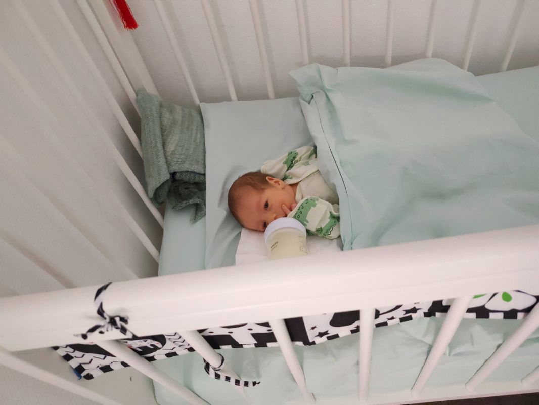 Весна приходит: Вальдемар Великолепный встречает новую жизнь