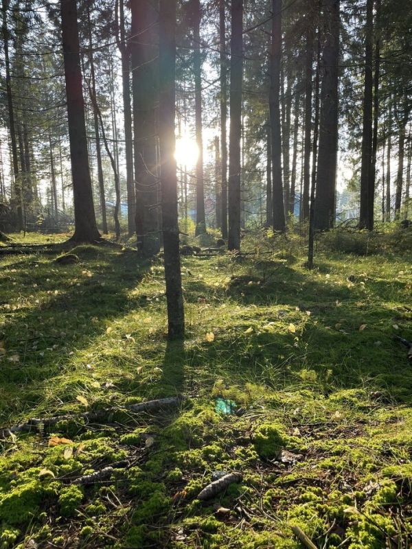 Почему деньги не избавляют от тревоги: взгляд эксперта