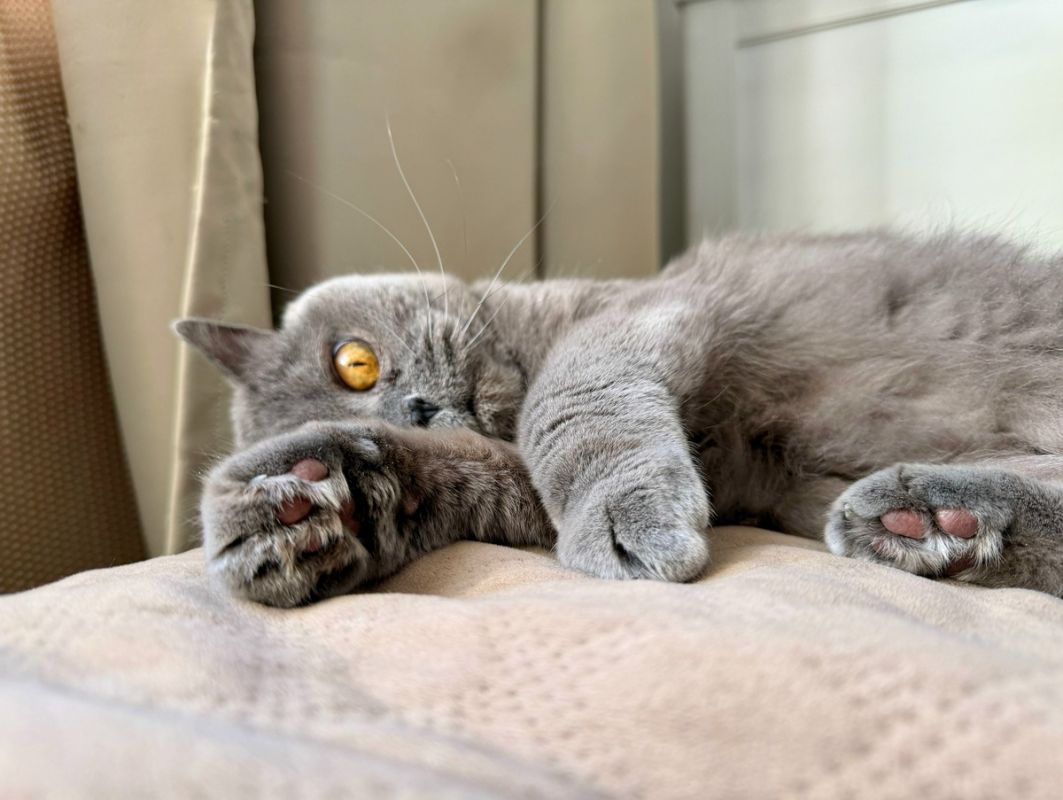 Как побороть стресс: 5 полезных советов от психолога Самбурского