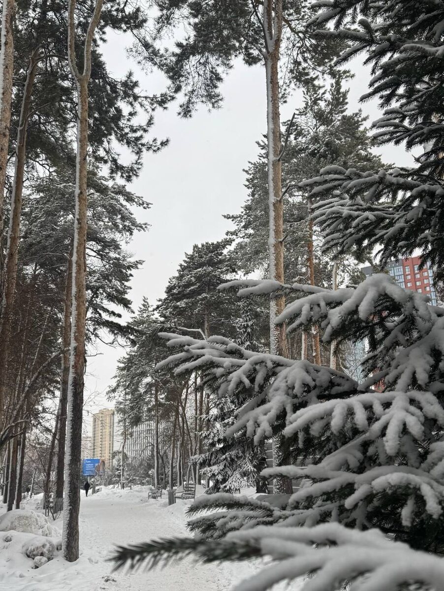 Как принимать решения в быстро меняющемся мире