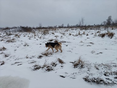 Снежное утро в кругу семьи: как прошёл идеальный выходной