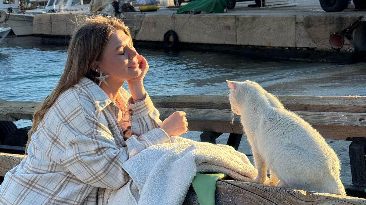 ������� �� �������� �����������: ��� ������������ � ����������� ������ ����������