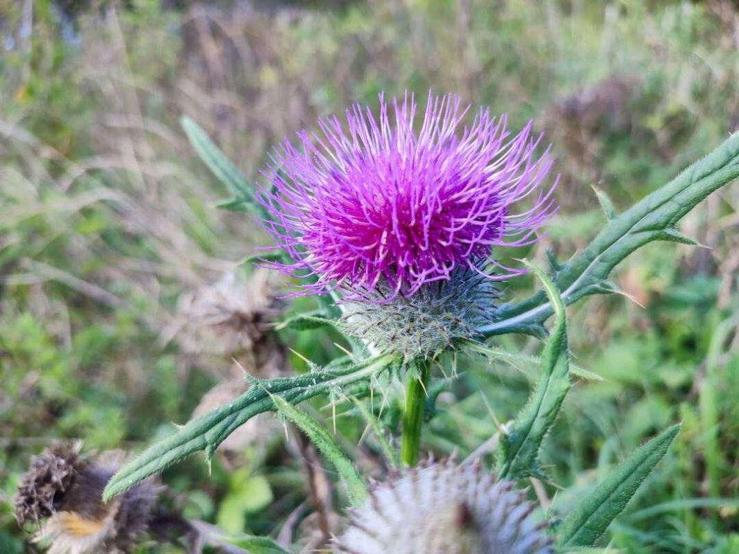 Как просто и эффективно справиться с обидами: альтернативы мести