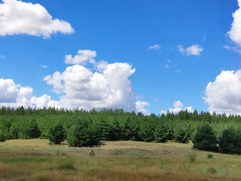 Когда не нравишься самому себе