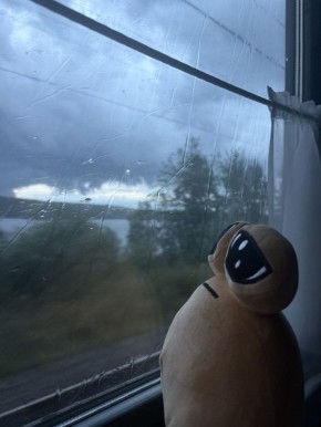 8 ������� ������ ���������, � ������� ����� ����� �������