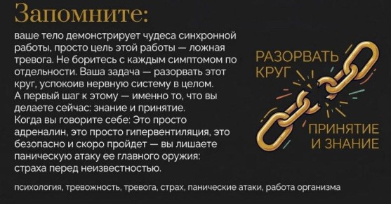 Что происходит с мозгом при панической атаке: разбор механизмов