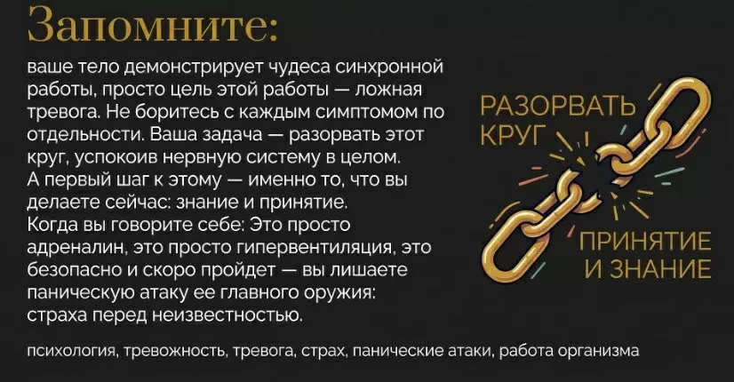 Что происходит с мозгом при панической атаке: разбор механизмов