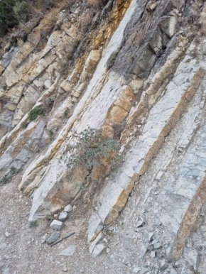 �����: ����������� ���� �� ������������