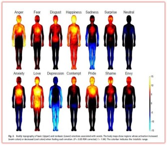 Как эмоции влияют на физическое состояние: удивительные карты человеческого тела
