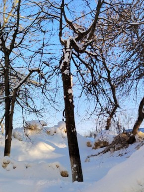 ����� � ��������: ��� ������� ��������� � �����������