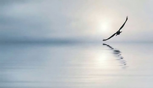 ��� ����������������� �������� ����� ��������� ��� �����, ����� �� ����