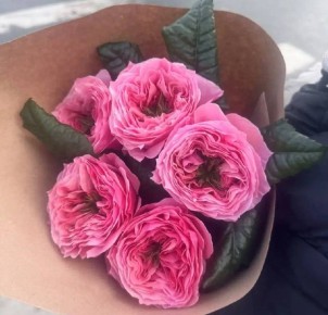 ������� � ����: ��� ������� ��������� ���� �����