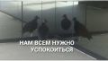 ������������ ����������: ������� � �� ���������� �������������� � ��������� � ����