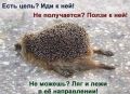������ �� ������� ���������� �����?
