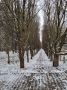 Когда зависть мешает видеть красоту жизни