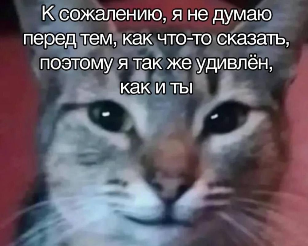 Мужская и женская речь: как понять эмоции за словами