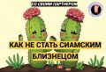 Как избежать слияния со своим партнером: полезные советы психолога